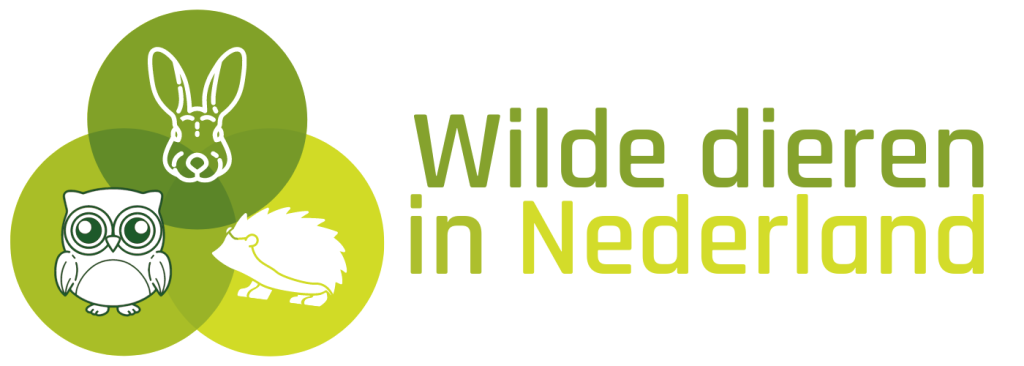 Wilde dieren in Nederland