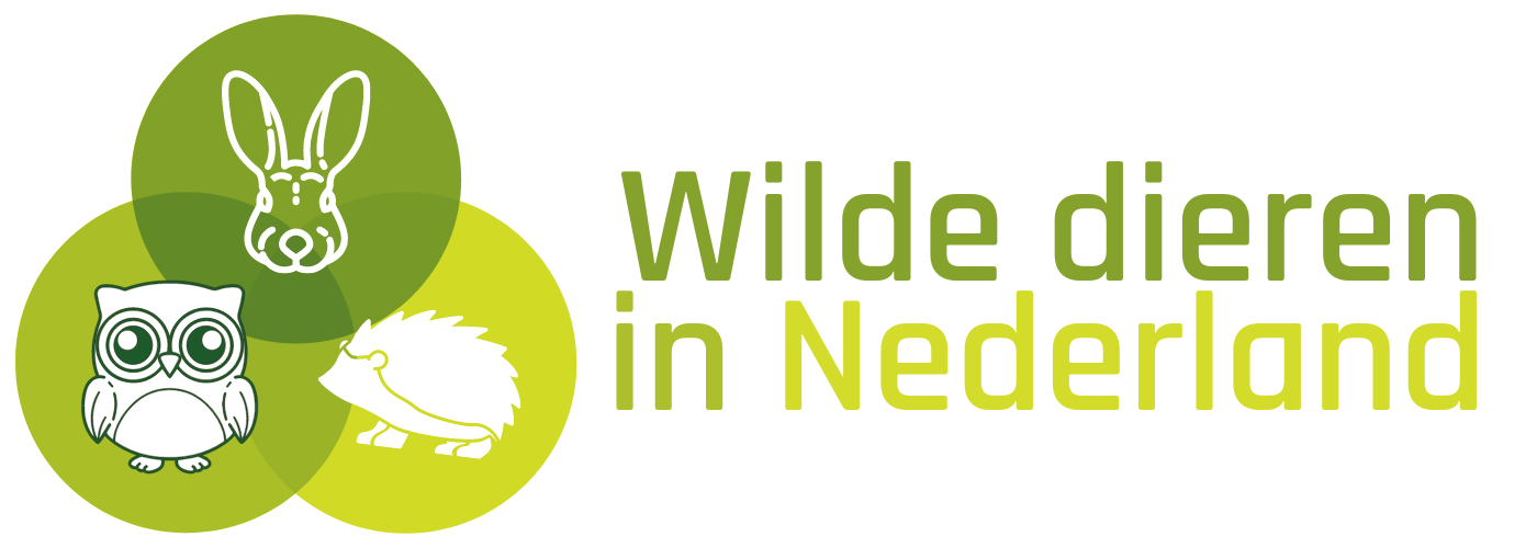 Wilde dieren in Nederland